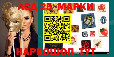 ПСИЛОЦИБИНОВЫЕ ГРИБЫ Аргун