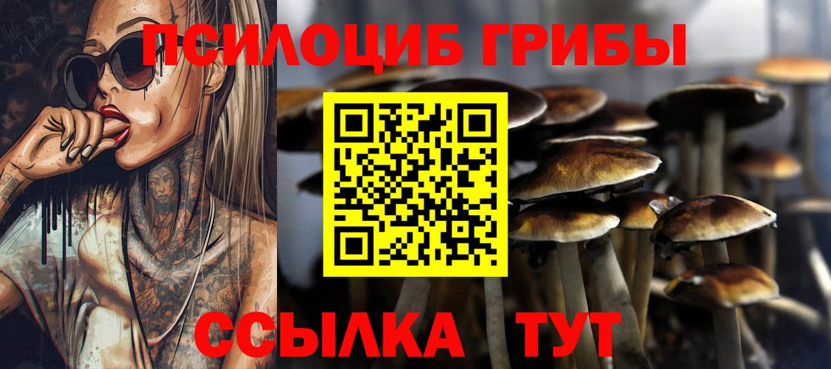Галлюциногенные грибы Cubensis Владивосток
