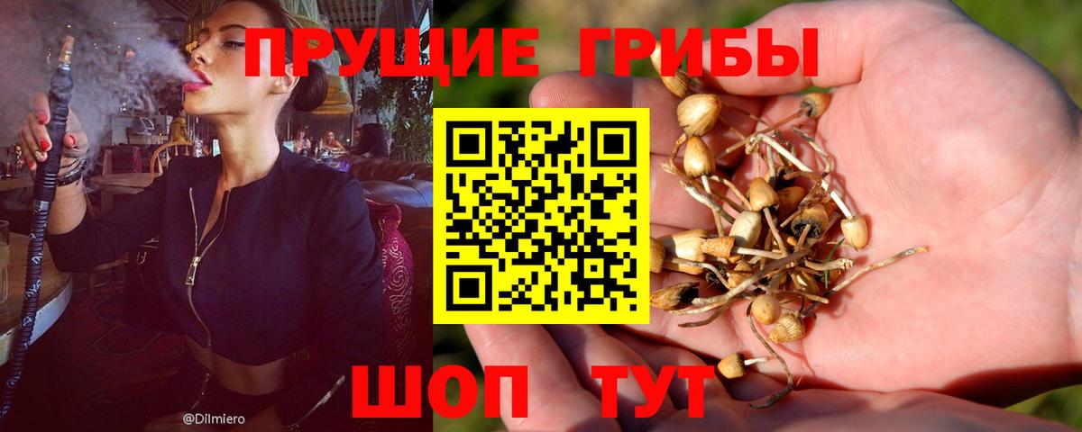 Псилоцибиновые грибы мухоморы  Псилоцибиновые грибы Psilocybine cubensis  Владивосток  Вход с VPN 
